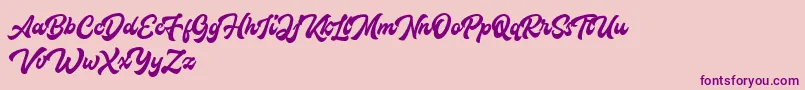 Houstanderdemo Font – Purple Fonts on Pink Background
