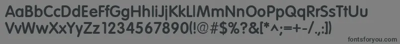 VolkswagenhBold Font – Black Fonts on Gray Background