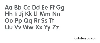 VolkswagenhBold Font