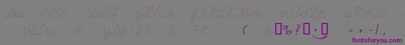 Lapunkt Font – Purple Fonts on Gray Background