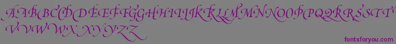 PoeticaSuppSwashCapitalsIii Font – Purple Fonts on Gray Background