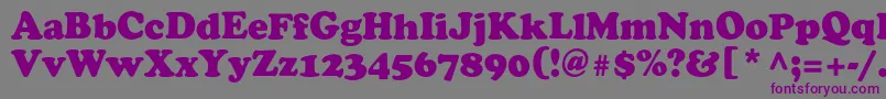 Agcrownc Font – Purple Fonts on Gray Background