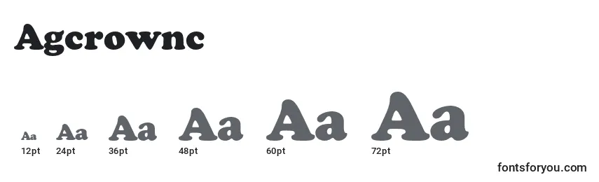 Размеры шрифта Agcrownc