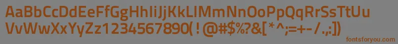 Titilliumtext22l800wt Font – Brown Fonts on Gray Background