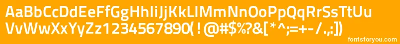 Titilliumtext22l800wt Font – White Fonts on Orange Background