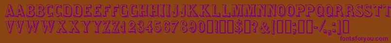 Saloondisplaycapsssk Font – Purple Fonts on Brown Background