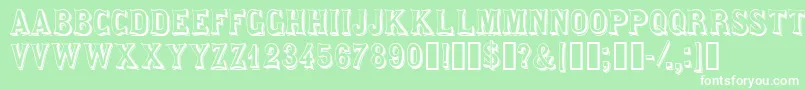 Saloondisplaycapsssk Font – White Fonts on Green Background