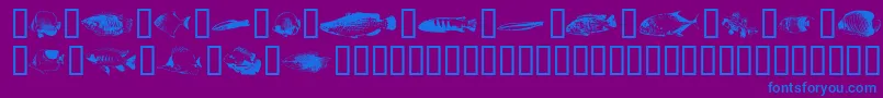 Шрифт Fishpoa – синие шрифты на фиолетовом фоне