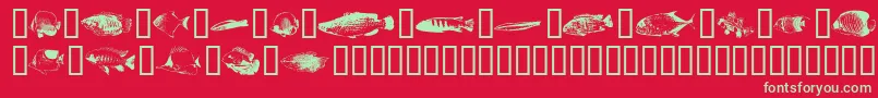 Шрифт Fishpoa – зелёные шрифты на красном фоне
