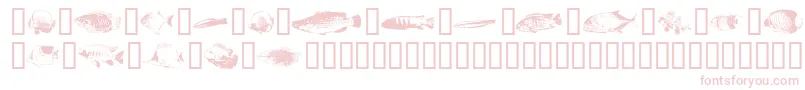 Fonte Fishpoa – fontes rosa em um fundo branco