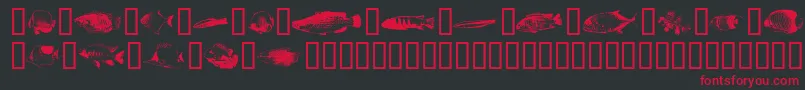Fishpoa Font – Red Fonts on Black Background