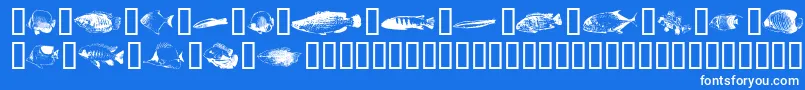 Fishpoa-Schriftart – Weiße Schriften auf blauem Hintergrund