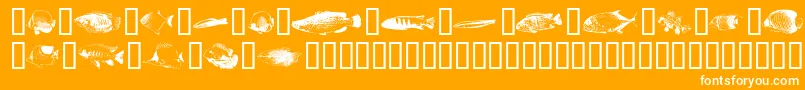 Czcionka Fishpoa – białe czcionki na pomarańczowym tle