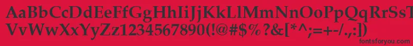 Latinopal6Boldsh Font – Black Fonts on Red Background