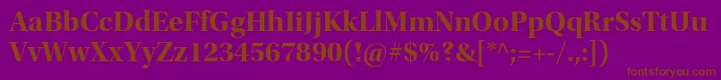 UtopiastdBolddisp Font – Brown Fonts on Purple Background