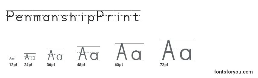 PenmanshipPrint Font Sizes