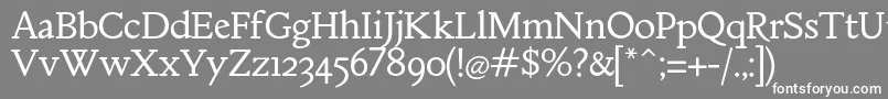 MebinacRegular Font – White Fonts on Gray Background