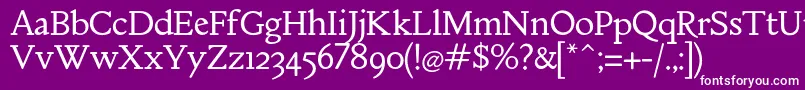 MebinacRegular-Schriftart – Weiße Schriften auf violettem Hintergrund