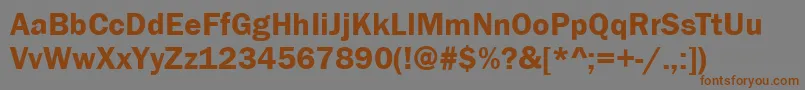 StGothicBold Font – Brown Fonts on Gray Background