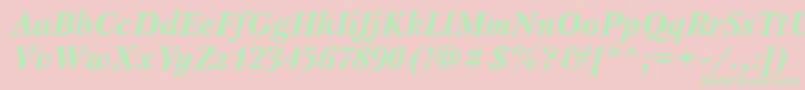 PetersburgttBolditalic Font – Green Fonts on Pink Background