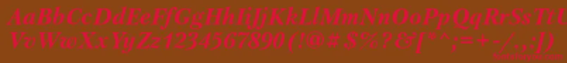 PetersburgttBolditalic Font – Red Fonts on Brown Background