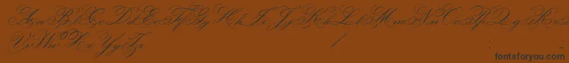 FaceOfYesterday Font – Black Fonts on Brown Background