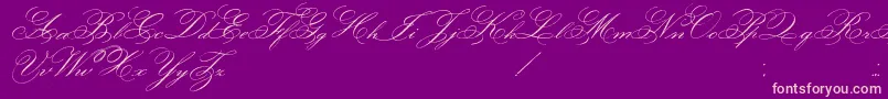 FaceOfYesterday Font – Pink Fonts on Purple Background