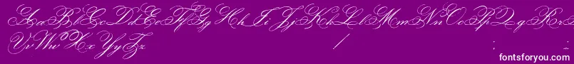 FaceOfYesterday Font – White Fonts on Purple Background