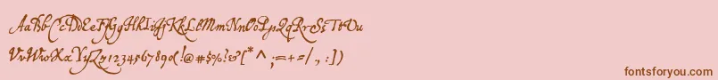 P22broadwindsor Font – Brown Fonts on Pink Background