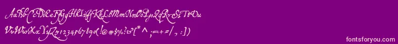 P22broadwindsor Font – Pink Fonts on Purple Background