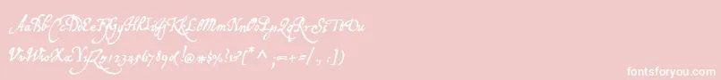 Fonte P22broadwindsor – fontes brancas em um fundo rosa