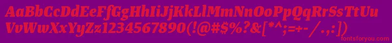 TangerserifnarrowExtrabolditalic Font – Red Fonts on Purple Background