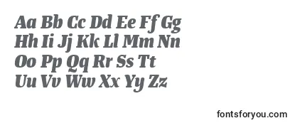 TangerserifnarrowExtrabolditalic Font