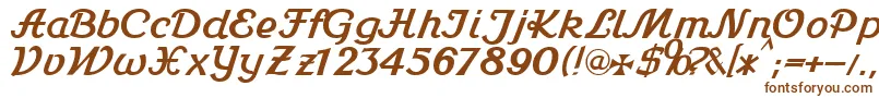 Stein1Db Font – Brown Fonts