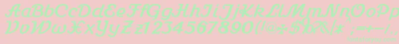 Stein1Db Font – Green Fonts on Pink Background