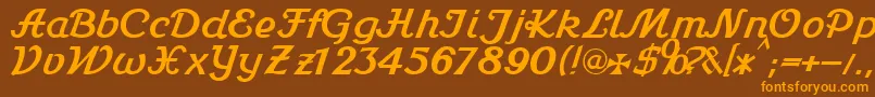 Stein1Db Font – Orange Fonts on Brown Background