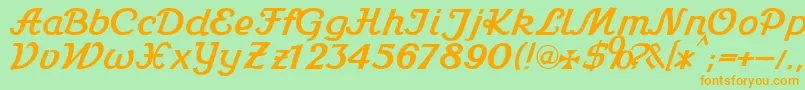 Stein1Db Font – Orange Fonts on Green Background