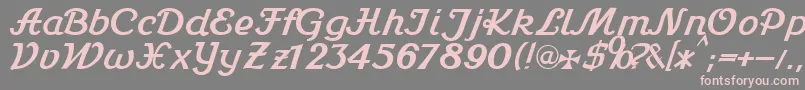 Stein1Db Font – Pink Fonts on Gray Background