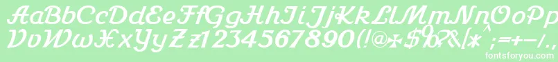 Stein1Db Font – White Fonts on Green Background