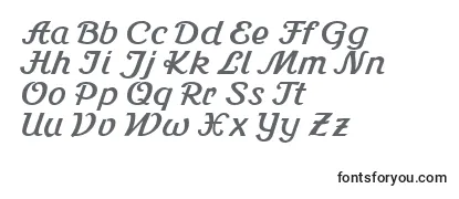Stein1Db Font