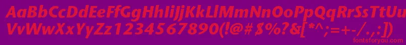 StonesansstdBolditalic Font – Red Fonts on Purple Background