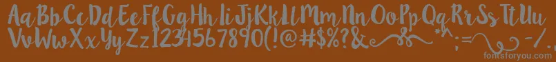 Lillybelle Font – Gray Fonts on Brown Background