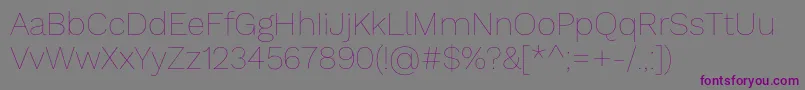 WorksansHairline Font – Purple Fonts on Gray Background