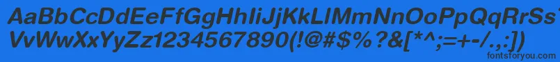 HelveticaRoundedLtBoldOblique Font – Black Fonts on Blue Background