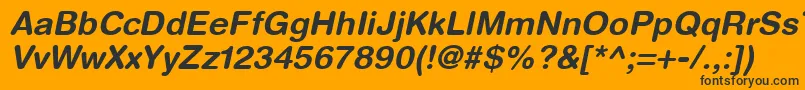 HelveticaRoundedLtBoldOblique Font – Black Fonts on Orange Background