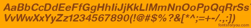 HelveticaRoundedLtBoldOblique Font – Brown Fonts on Orange Background