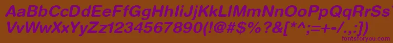 HelveticaRoundedLtBoldOblique Font – Purple Fonts on Brown Background