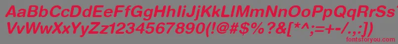 HelveticaRoundedLtBoldOblique Font – Red Fonts on Gray Background