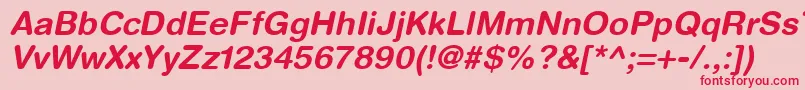 HelveticaRoundedLtBoldOblique Font – Red Fonts on Pink Background