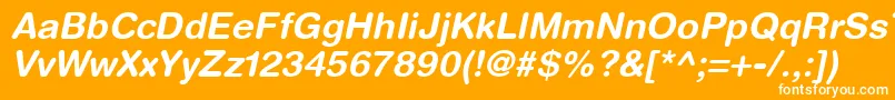 HelveticaRoundedLtBoldOblique Font – White Fonts on Orange Background